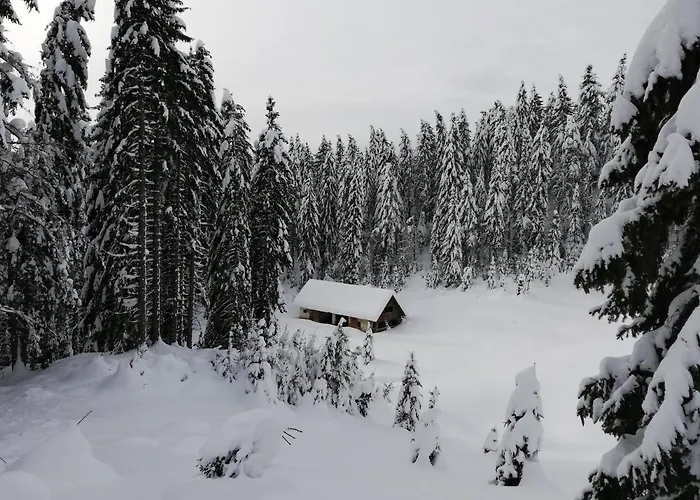 Appartement Haus Lagma